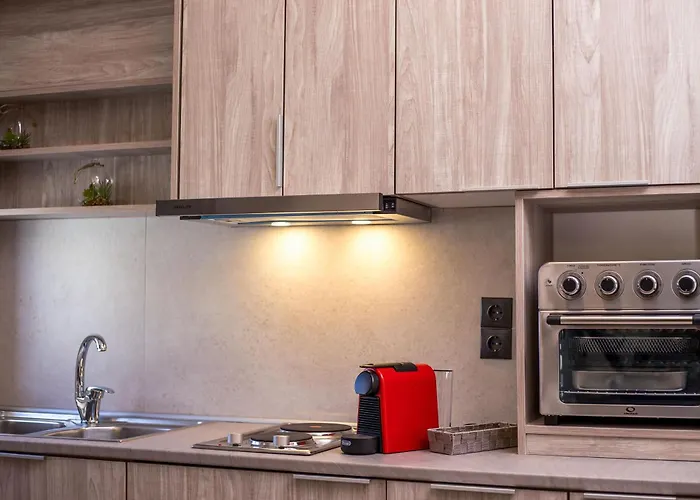 Apartman Oleana Center