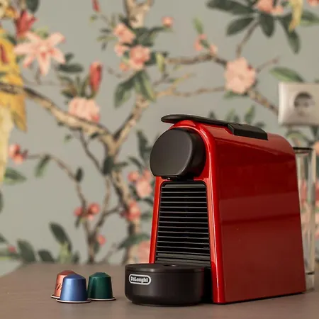 公寓 Oleana Center Rhodes City